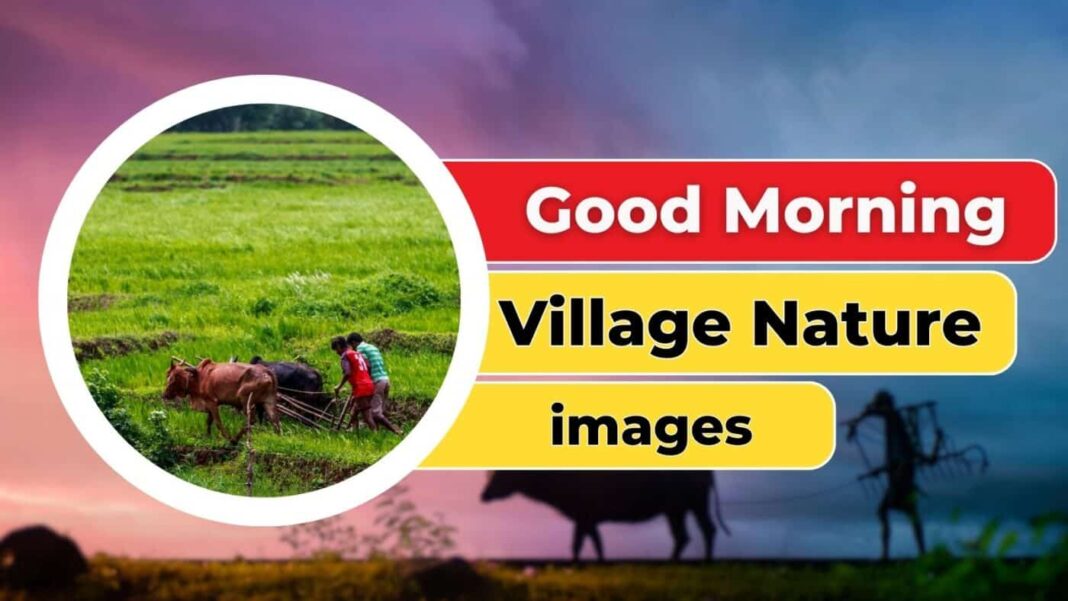 67+ VILLAGE GOOD MORNING NATURE